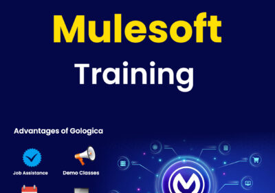 Mulesoft-copy-2