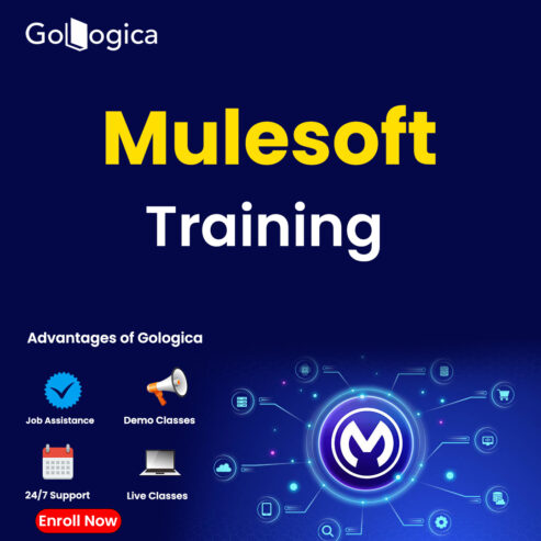 Live GoLogica MuleSoft Training