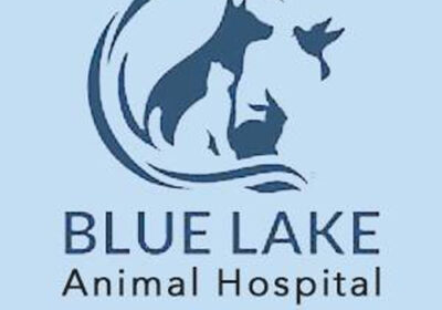 animal-hospital-Grand-Rapids-MI