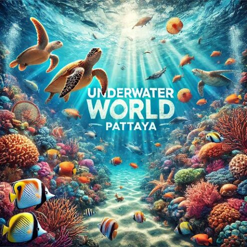 Underwater World Pattaya | Explore Thailand’s Top Mari