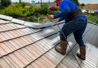 Roof-Painting