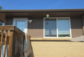 Weaver Construction LLC