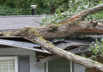 Storm-Damage