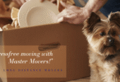 Master Movers