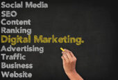 How a Digital Marketing Agency in Delhi Helps Business