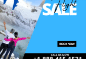 Inexpensive flight Tickets with Skytravelfly