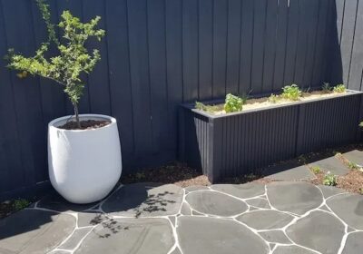 Kashmira-Bluestone-Crazy-Paver-5-1