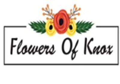 Screenshot-2025-11-10-170250-1-1