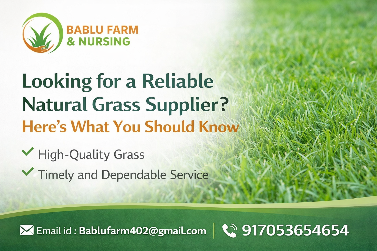 Bablu Farm and Nursery