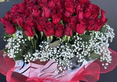 394279296_809991241132087_1160052438362462514_n