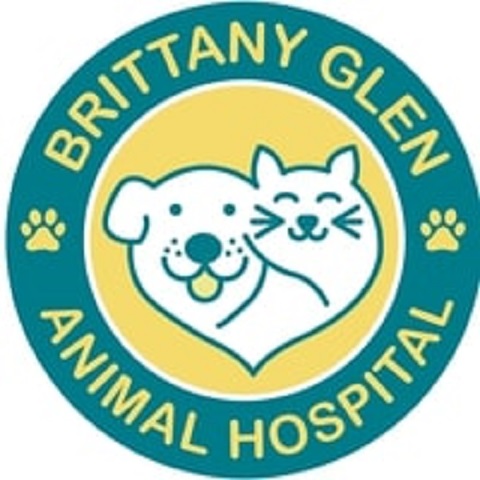 Brittany Glen Animal Hospital