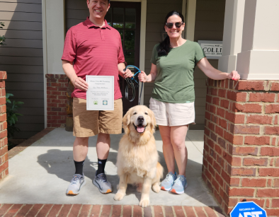 Music City K9 Training