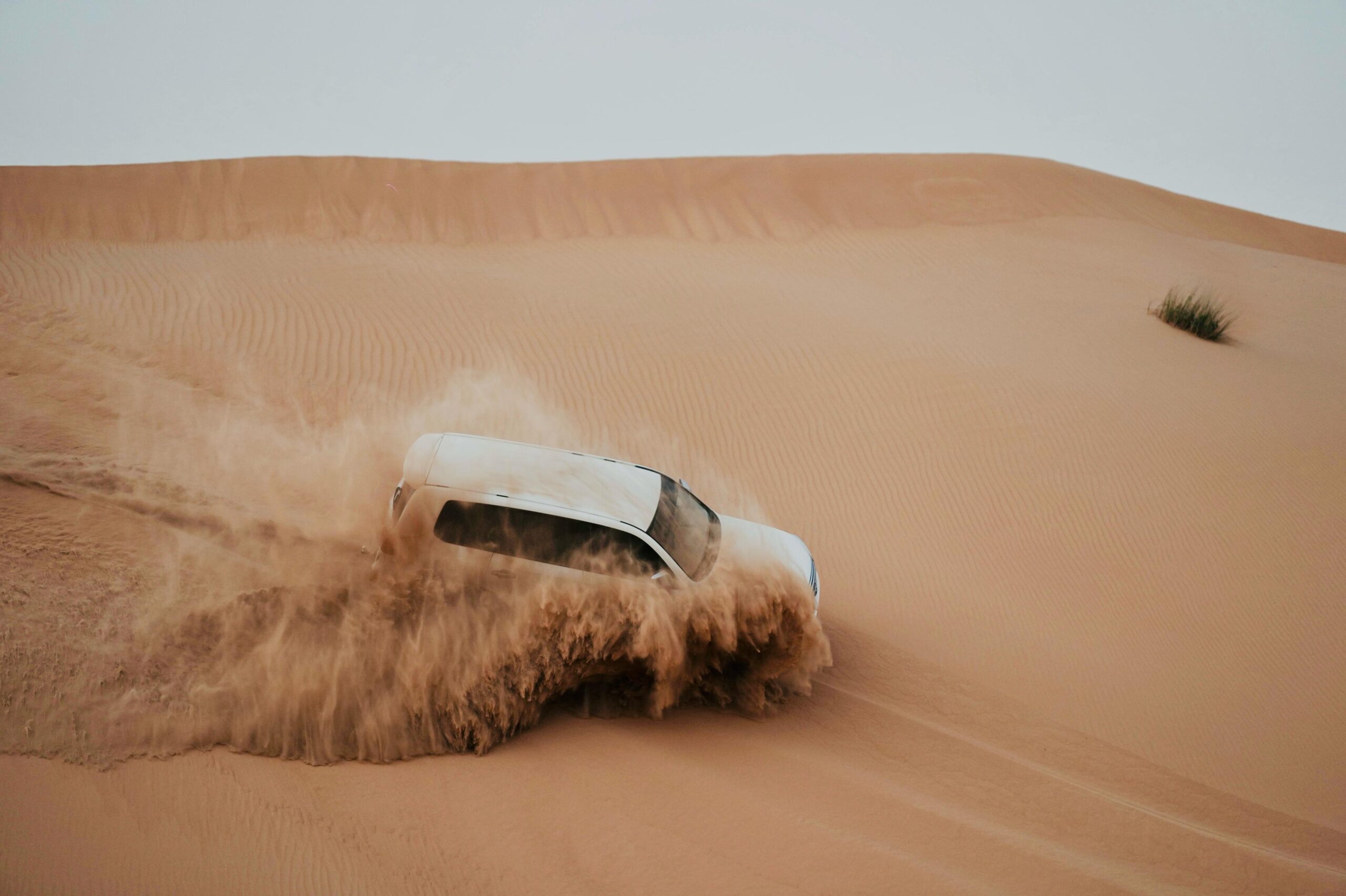 Morning & Evening Desert Safari in Abu Dhabi