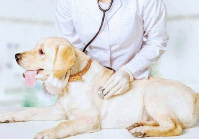 Screenshot-2025-12-10-101659