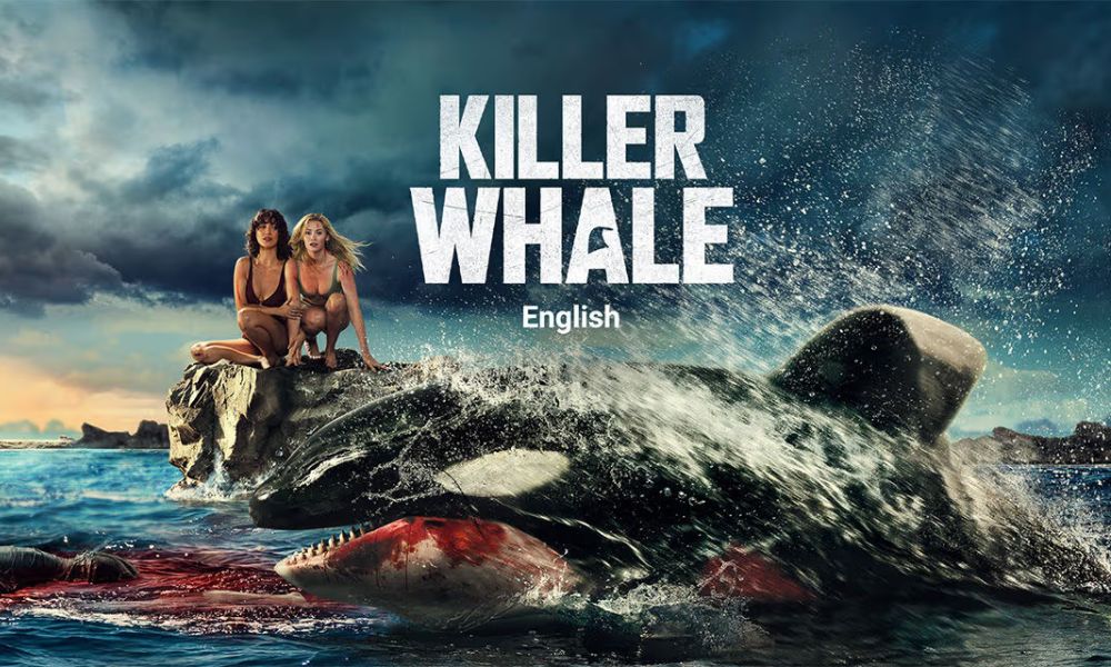 Explore the Best Streaming Experience with Movieswoodm