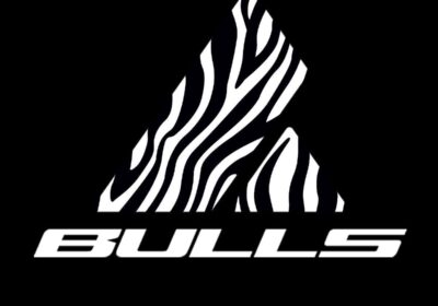 bulls-LOGO4