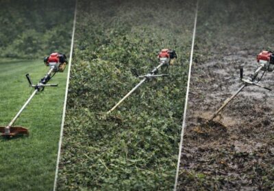 d9b9be47-ee80-44ee-93e6-593cad3f9e33-md