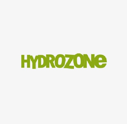 Hydrozone