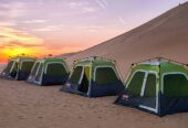 Morning & Evening Desert Safari in Abu Dhabi