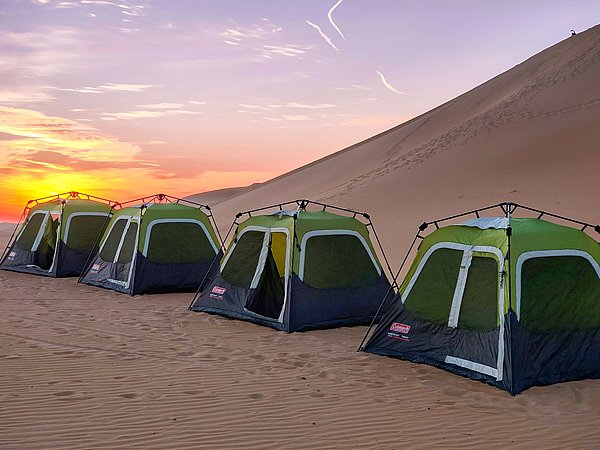 Morning & Evening Desert Safari in Abu Dhabi