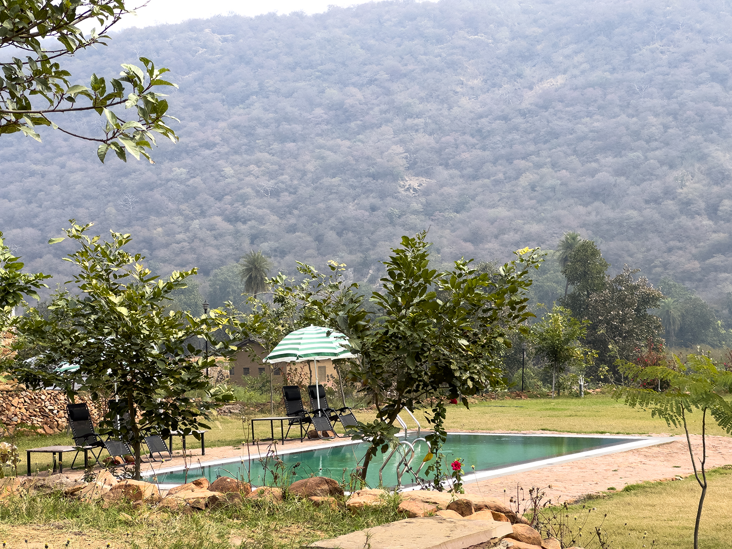 Best Resort Near Sariska – Chokhiwadi Forest Retreat