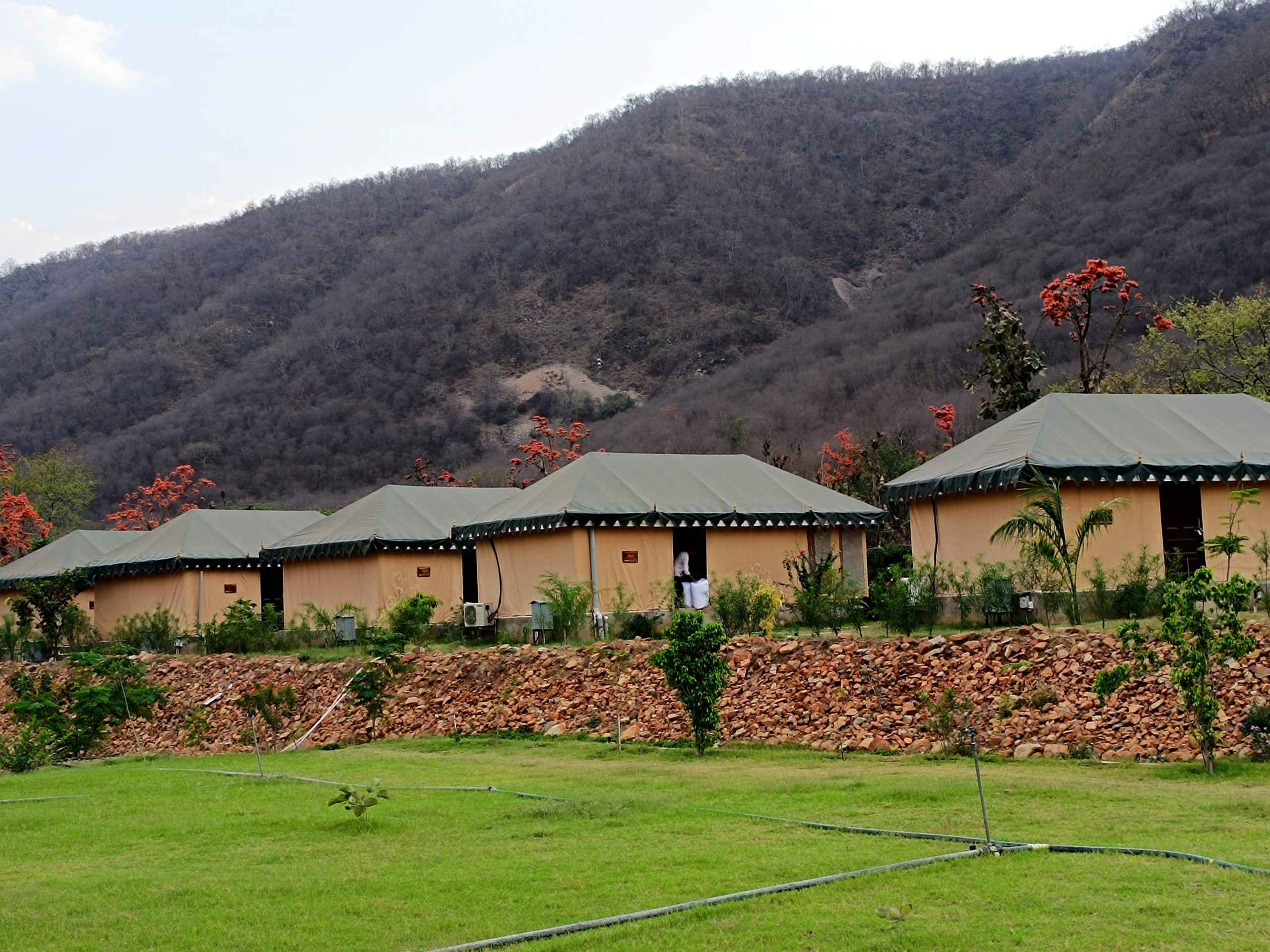 Best Resort Near Sariska – Chokhiwadi Forest Retreat