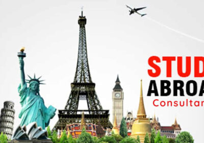 zd4bulO7M7IZWbef3Uxb_24_1c1737024d0a2be28fdba0afe68129a4_image