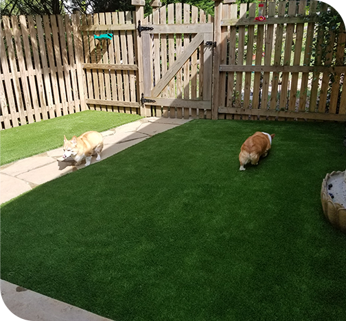 Pet synthetic turf​