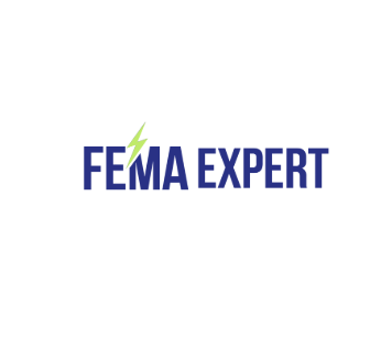 Fema Expert | Fema services in India