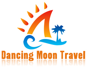 dmt-logo-crop-copy-copy_orig