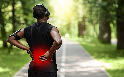 TheraWolf Balm Side Effects & Benefits: A Complete The