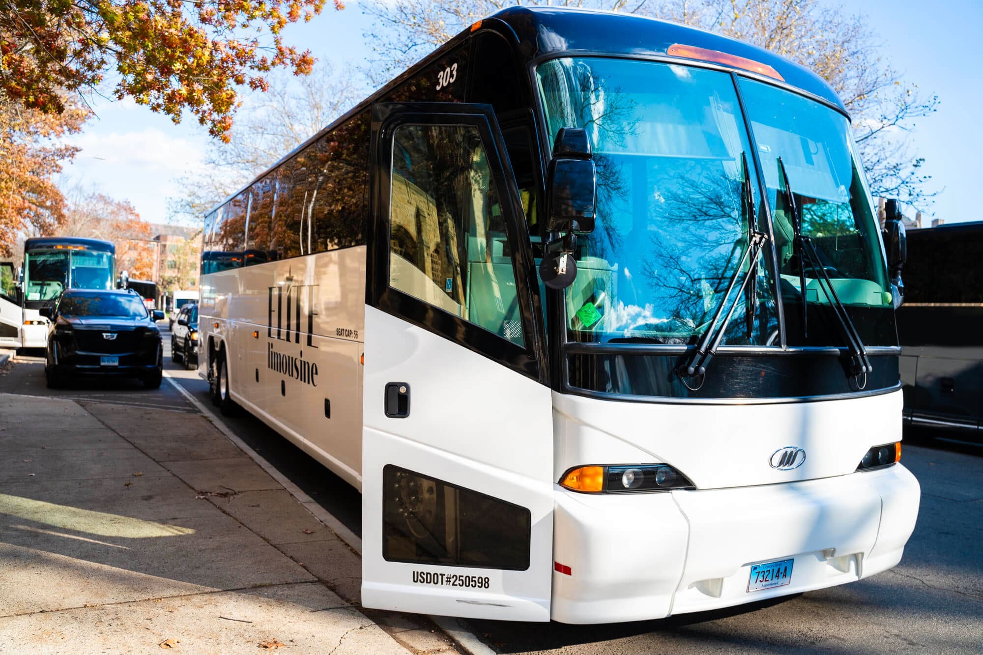 Limousine For Party NYC 